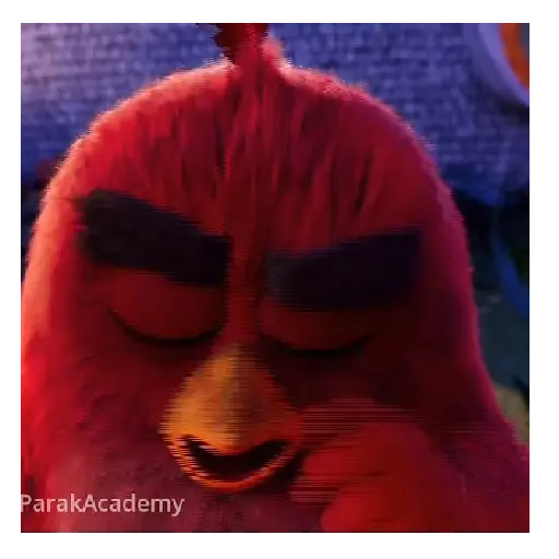 Meme Angry birds 💢😅 8