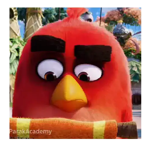 Meme Angry birds 💢😅 4