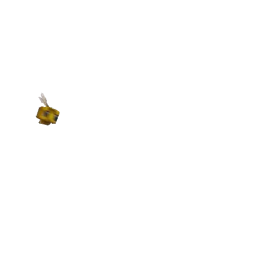 Minecraft 😎 11