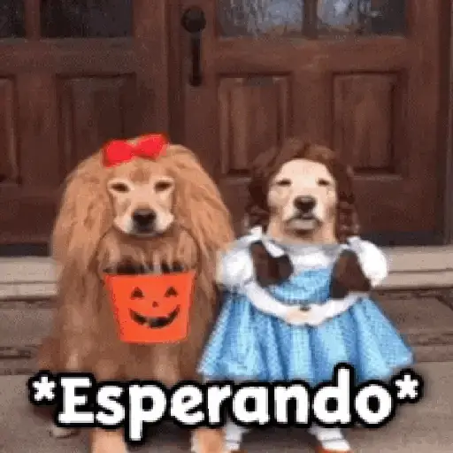 🎃 Halloween Pets 🎃 10