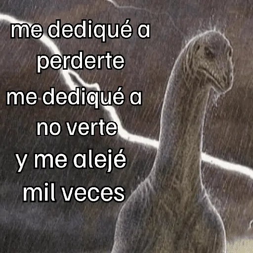 Letras de canciones 🎶 7