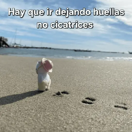 Ternurines pa tu vida 🐰🍓 19