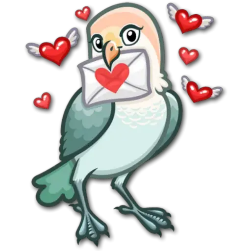 🐦Pajaros Lindos🐦  9
