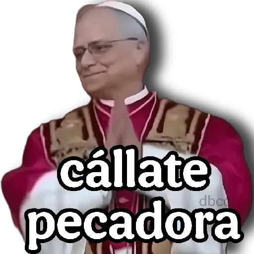 Papa Leon XIV 2😎 17