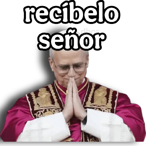 Papa Leon XIV 2😎 3