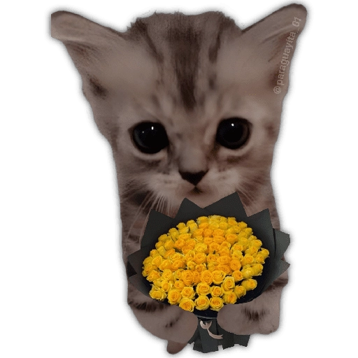 🌻💐 Жуто цвеће 3 💐🌻  15