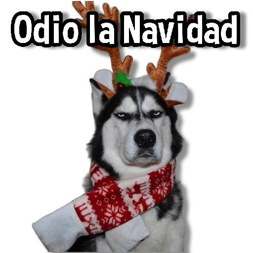 Odio la Navidad