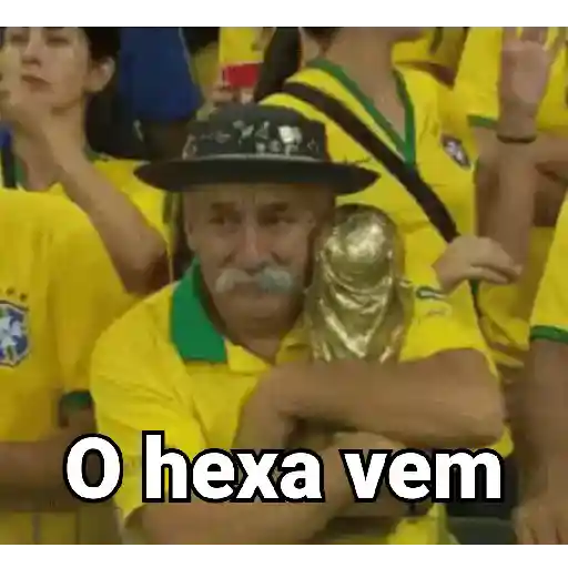 Copa do mundo 🇧🇷 16