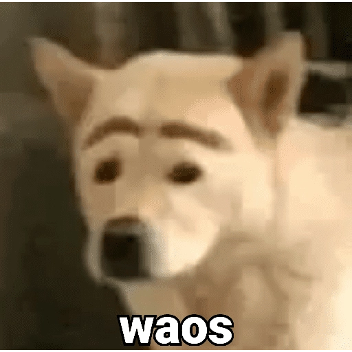 Waos - Perro con cejas🐶 4