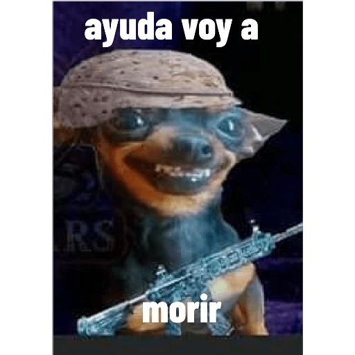 call Of Duty Mobile memes 2