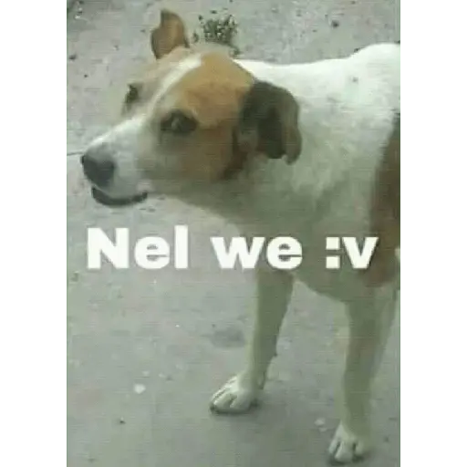 Ya no soy admin 8