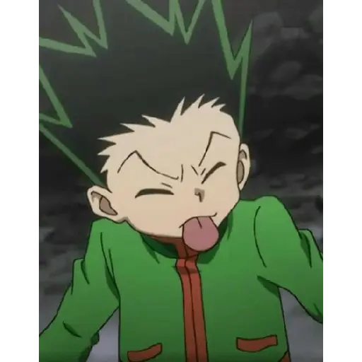 hunter x Hunter 29