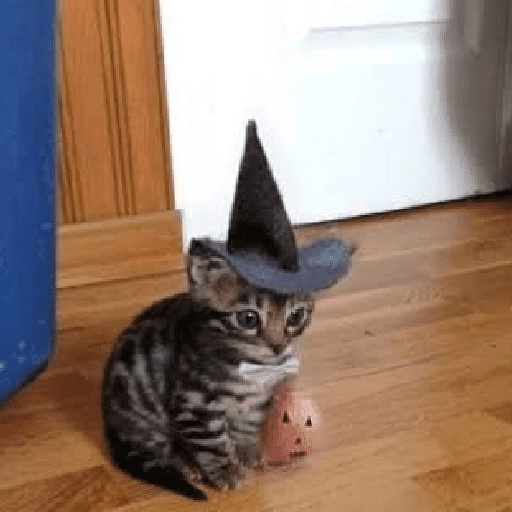 memes Halloween 🎃 😎 6