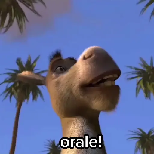 Burro 🫏 (Shrek) 7