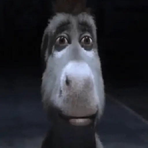 Burro 🫏 (Shrek) 6