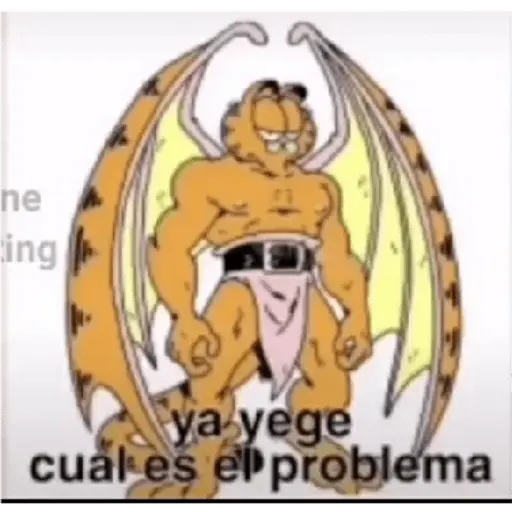 soy admin 7