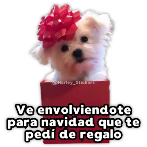 Perritos Navideños