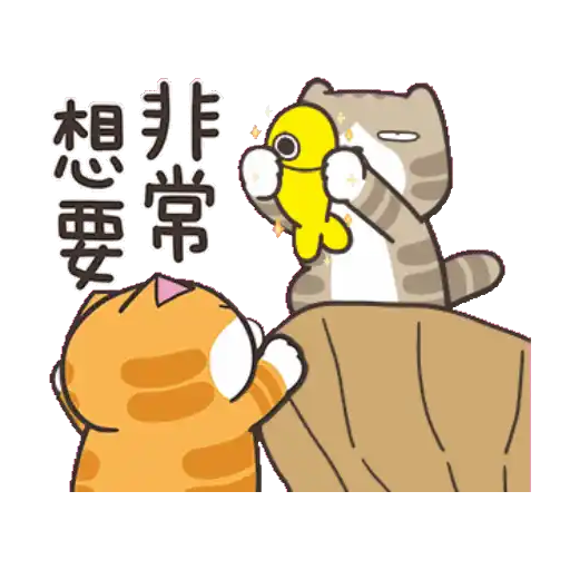 白爛貓☆金促咪☆係金A貼圖 17