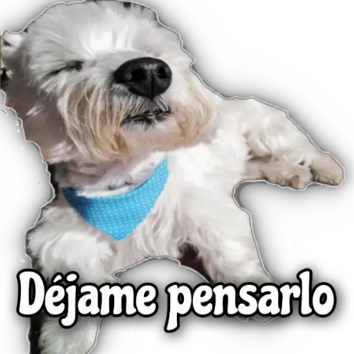 Quédate en casa 9