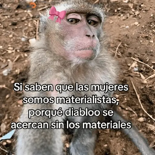Memes 32 30
