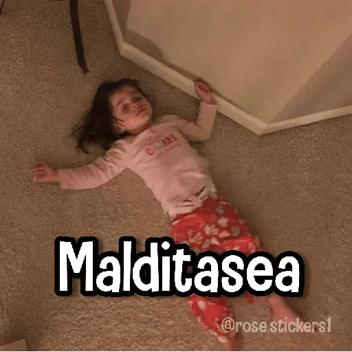 Memes con Frases #2🧠 3