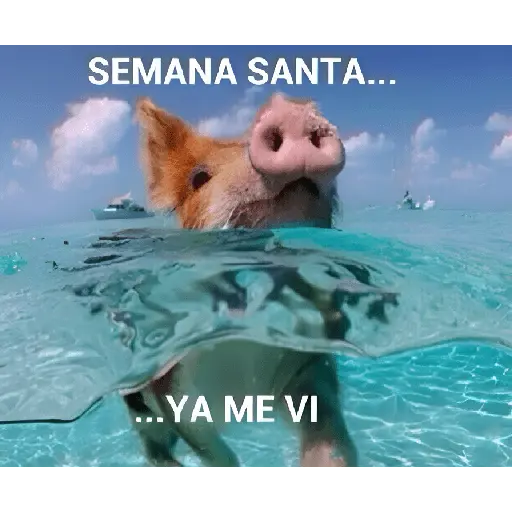 semana santa 🥳 8