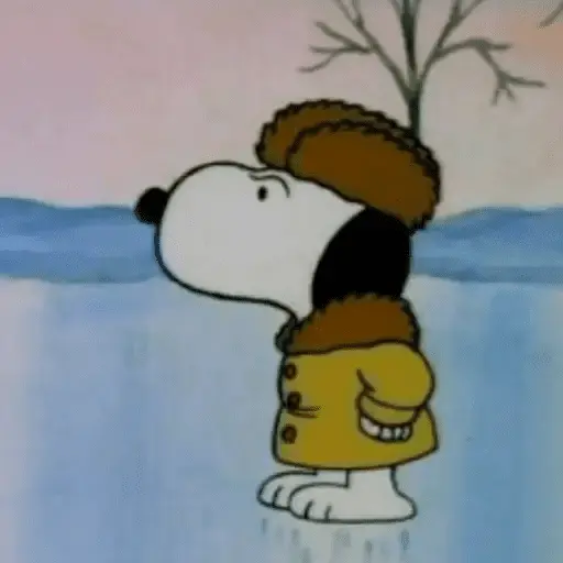 🐾Snoopy enojado 😡 3 🦴 9