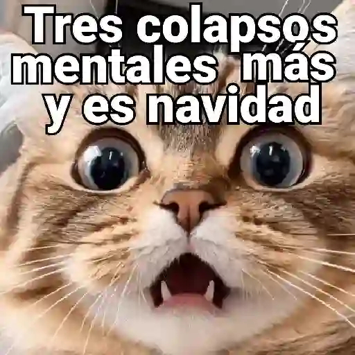 Tres colapsos mentales más y es navidad