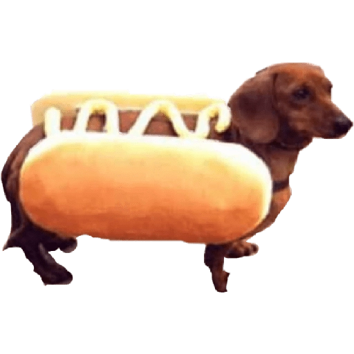 hot dog and bread 2