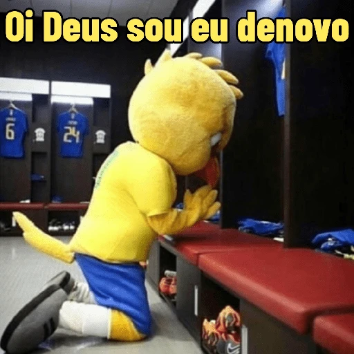 memes copa 🇧🇷 27