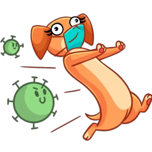 Pets anti coronavirus 26