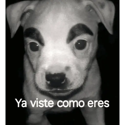 tray-icon