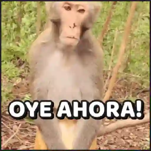 OYE AHORA!