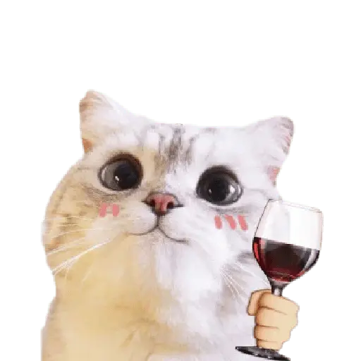 Michis random🐈🐈⬛ 23