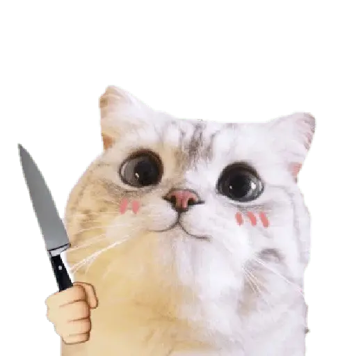 Michis random🐈🐈⬛ 24