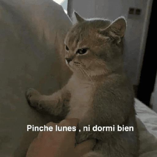 Pinche lunes, ni dormi bien
