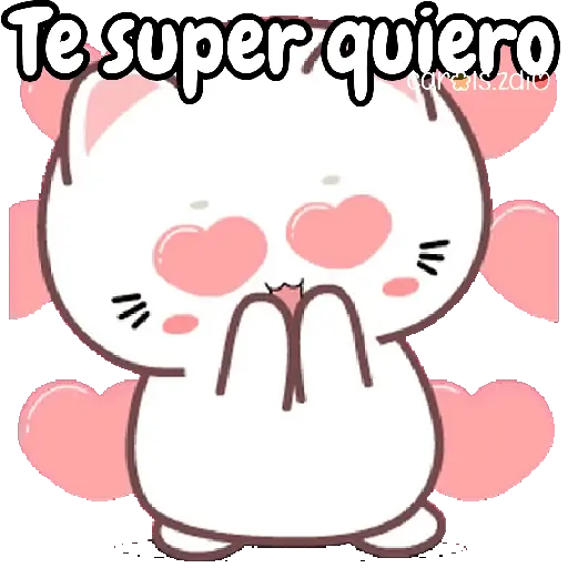 cute cats 🐱🩷🩵🐈 11
