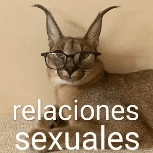 relaciones sexuales