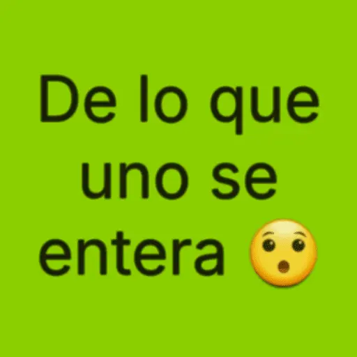 📗⛳ FRASES [Brat] ⛳📗 21