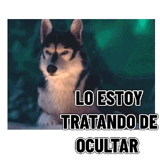 En modo de defensa estoy 🛡️ 9