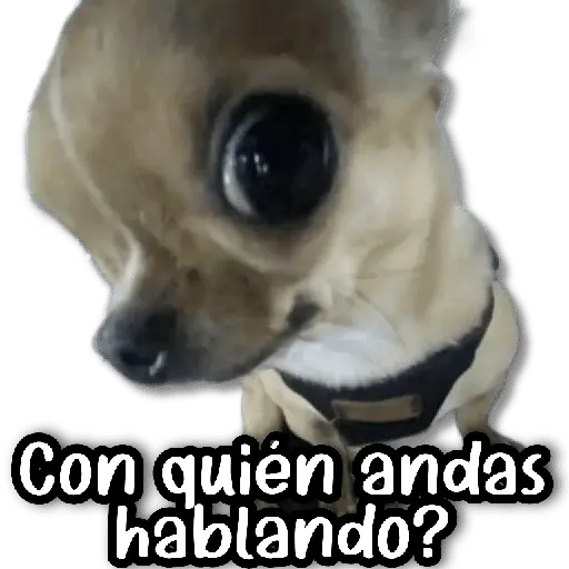 Con quién andas hablando?