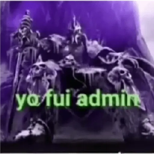 soy admin 14