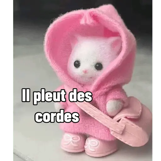 Ternurines en francés 11