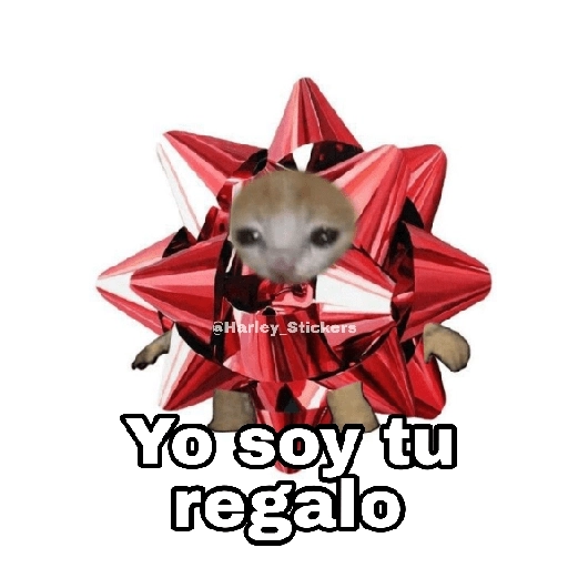 Gatitos Navidad 6