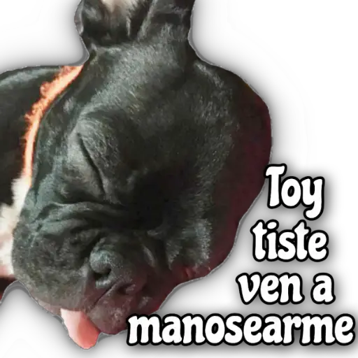 Quédate en casa 30