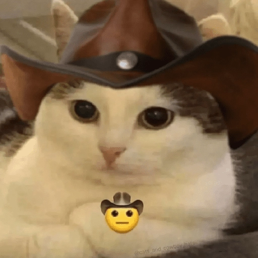 MICHIS 🥰🐱