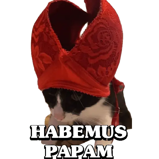 Memes 32 17