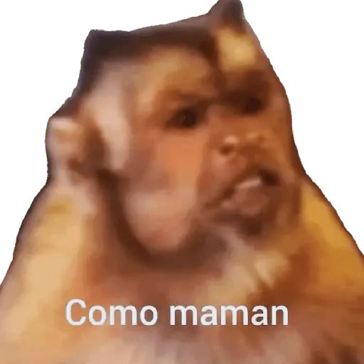Memes 32 18