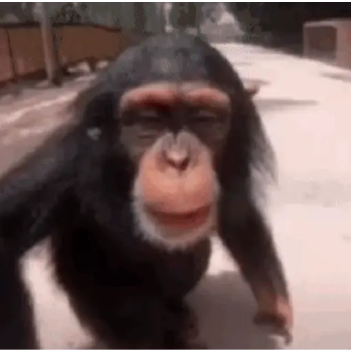 🎢 RANDOM Memes 🕹️😎 8