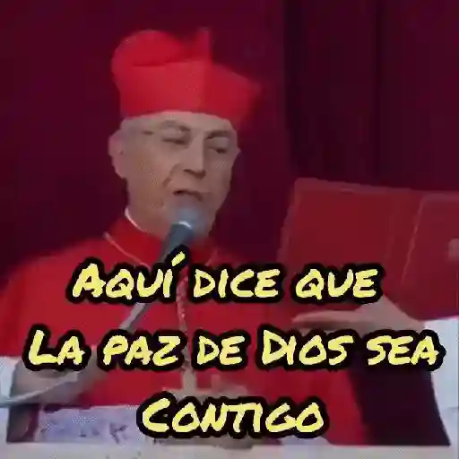 Papa Leon XIV 😎 15
